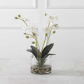 UTTERMOST GLORY ORCHID - Decorative Accents