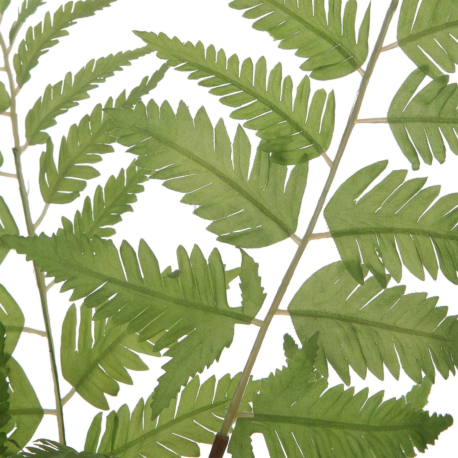UTTERMOST COUNTRY FERNS - Decorative Accents