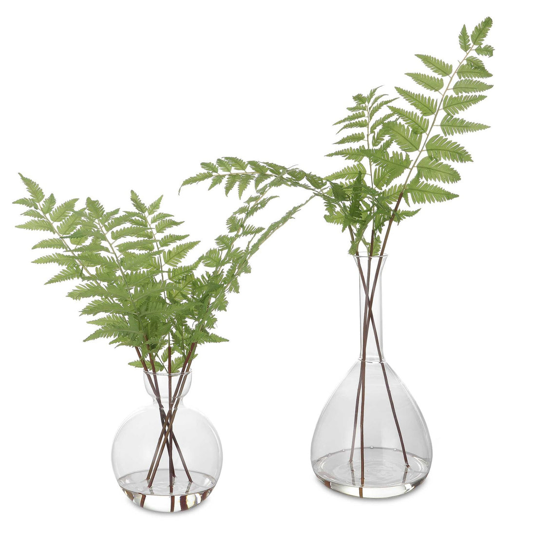 UTTERMOST COUNTRY FERNS - Decorative Accents