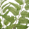 UTTERMOST Country Ferns Set Of 2 - Decorative Accents