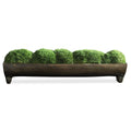 UTTERMOST CANAL MOSS CENTERPIECE - Decorative Accents