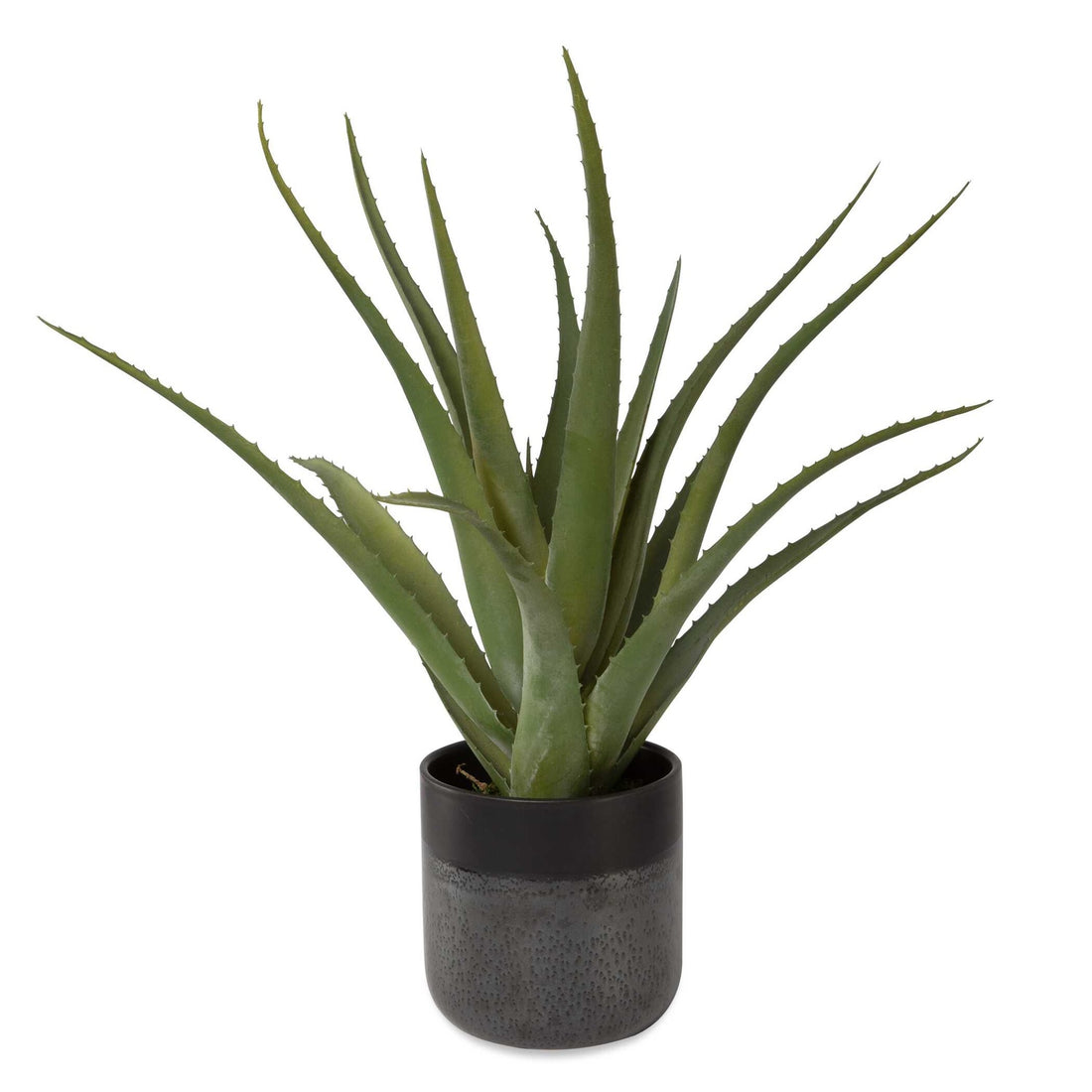 UTTERMOST Tucson Aloe Planter - Decorative Accents