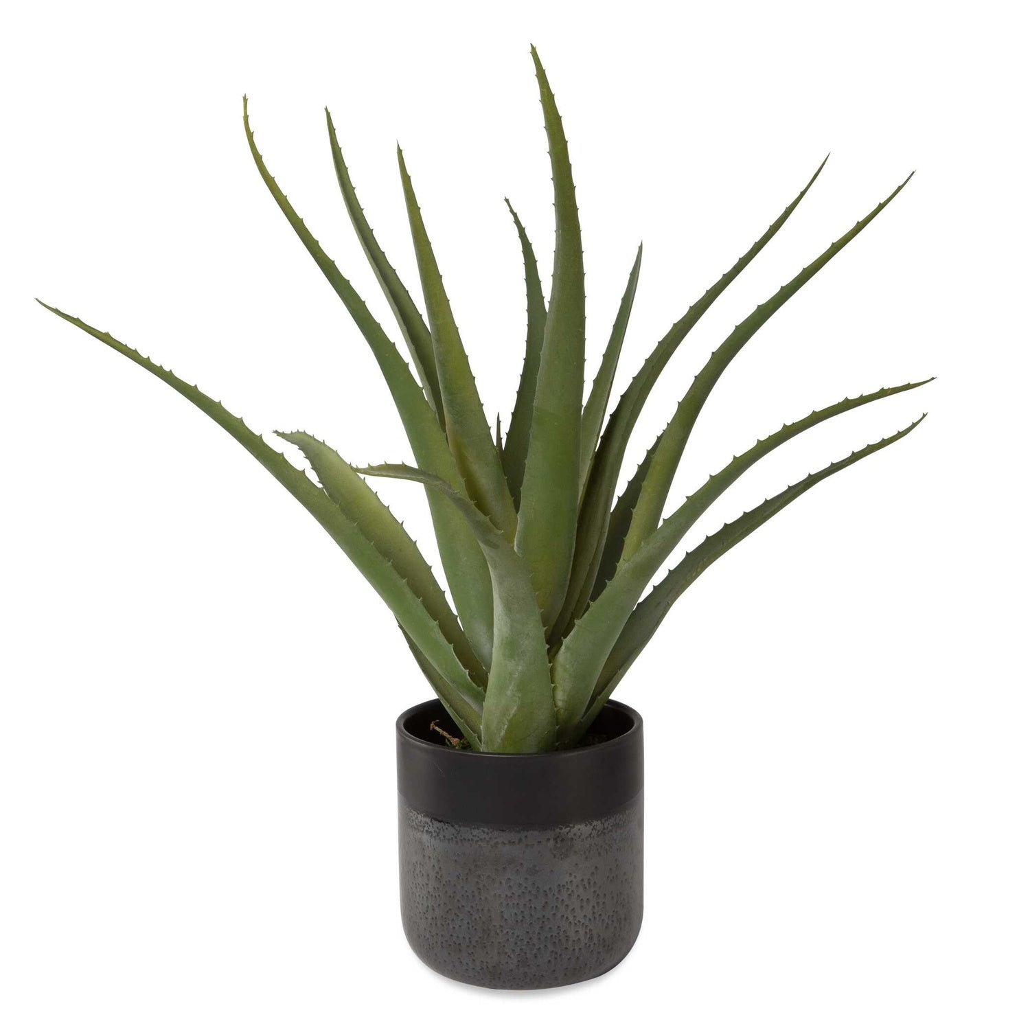 UTTERMOST Tucson Aloe Planter - Decorative Accents