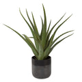 UTTERMOST TUCSON ALOE PLANTER - Decorative Accents