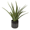 UTTERMOST TUCSON ALOE PLANTER - Decorative Accents