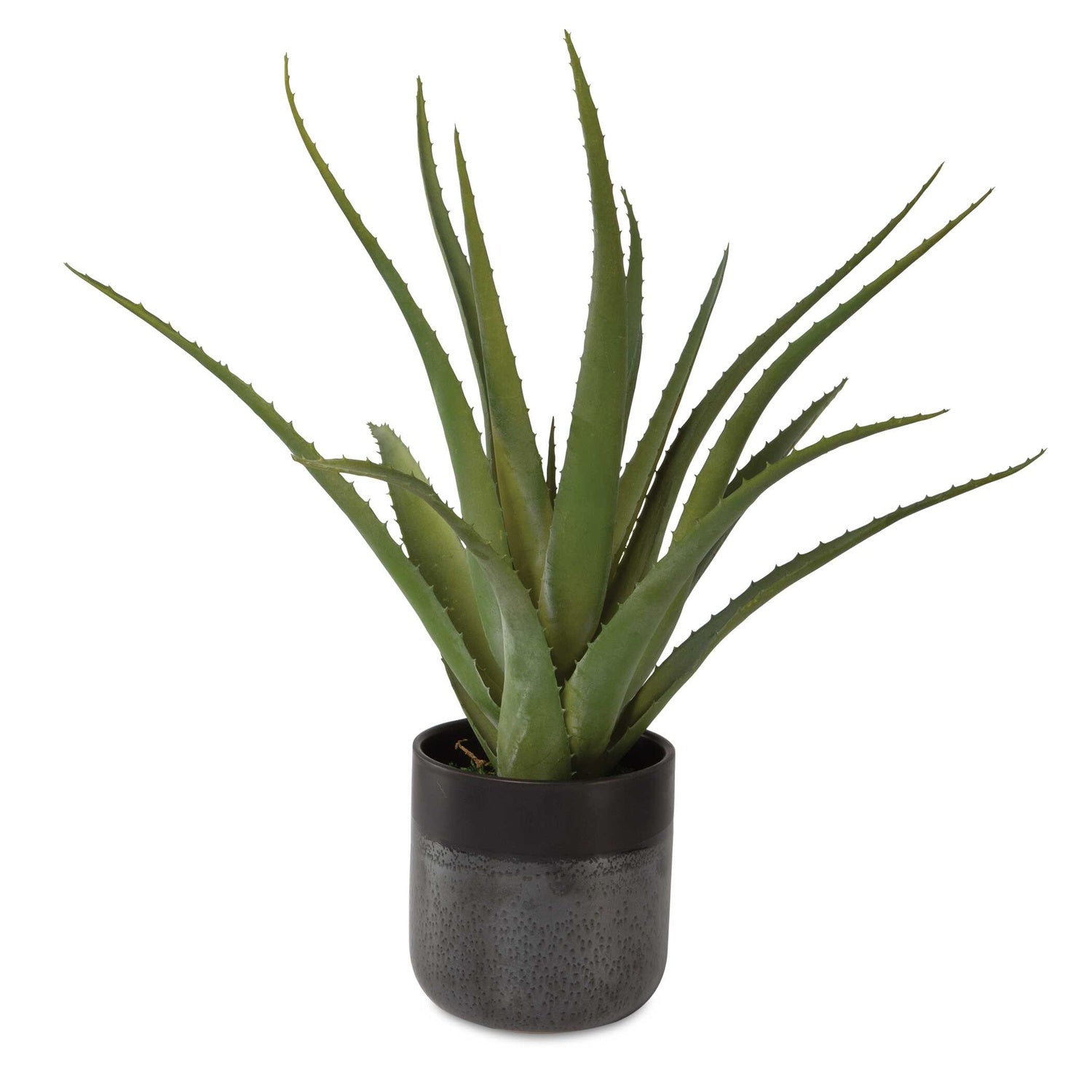UTTERMOST TUCSON ALOE PLANTER - Decorative Accents