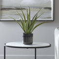 UTTERMOST TUCSON ALOE PLANTER - Decorative Accents