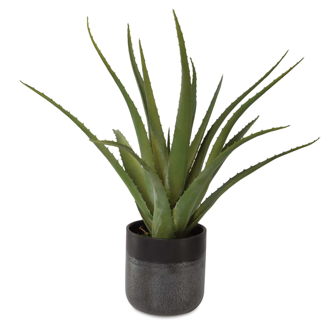UTTERMOST Tucson Aloe Planter - Decorative Accents