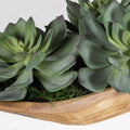UTTERMOST YUMA SUCCULENT CENTERPIECE - Decorative Accents