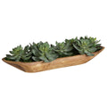 UTTERMOST Yuma Succulent Centerpiece - Decorative Accents