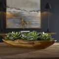 UTTERMOST Yuma Succulent Centerpiece - Decorative Accents