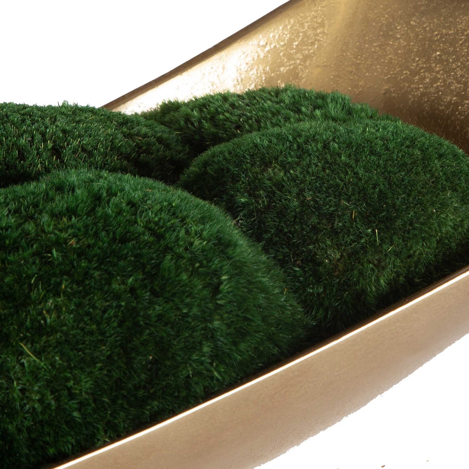 UTTERMOST Venice Moss Centerpiece - Decorative Accents
