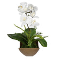 UTTERMOST TRANSCEND ORCHID CENTERPIECE - Decorative Accents
