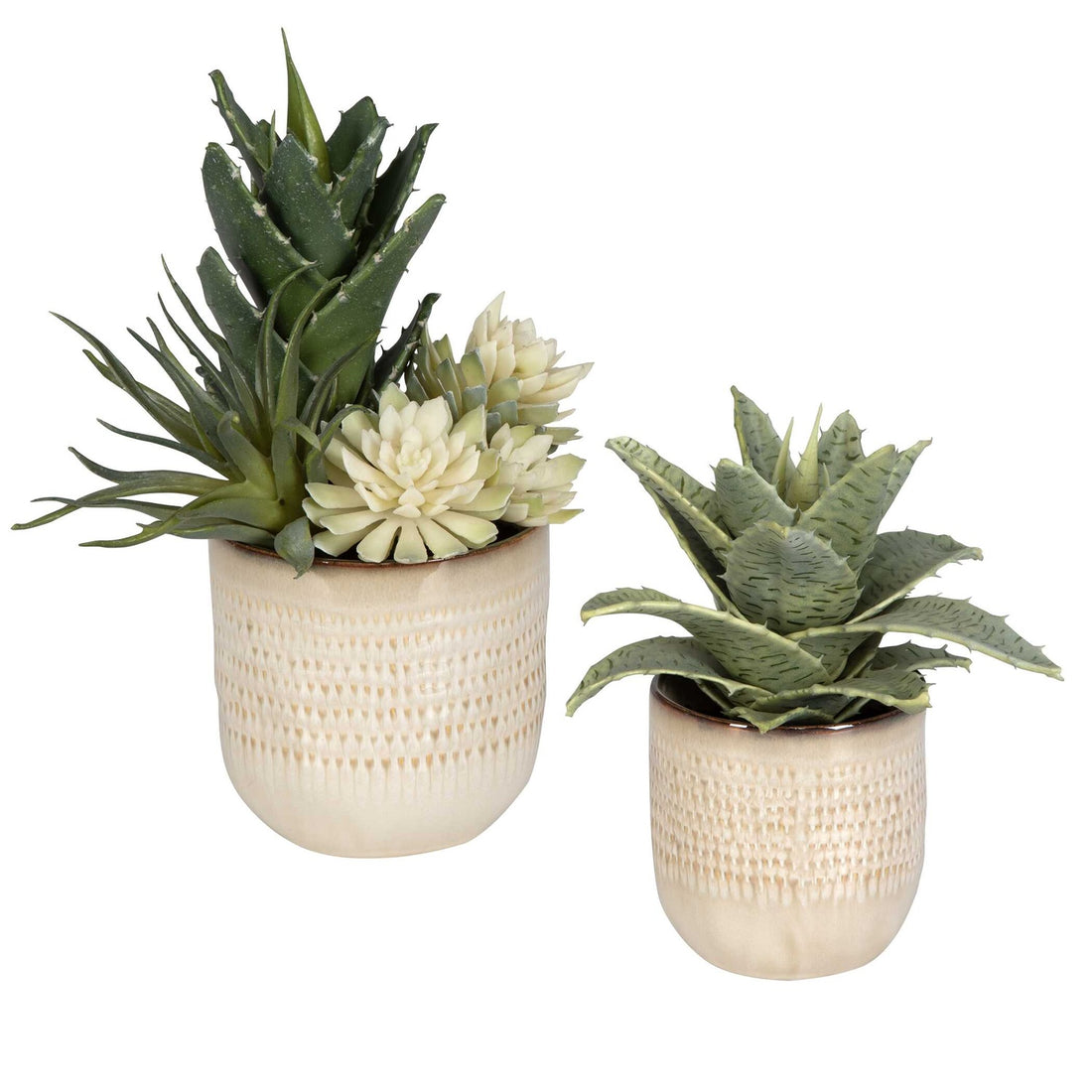 UTTERMOST Seaside Succulents Set Of 2 - Decorative Accents