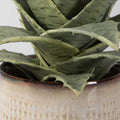 UTTERMOST SEASIDE SUCCULENTS - Decorative Accents