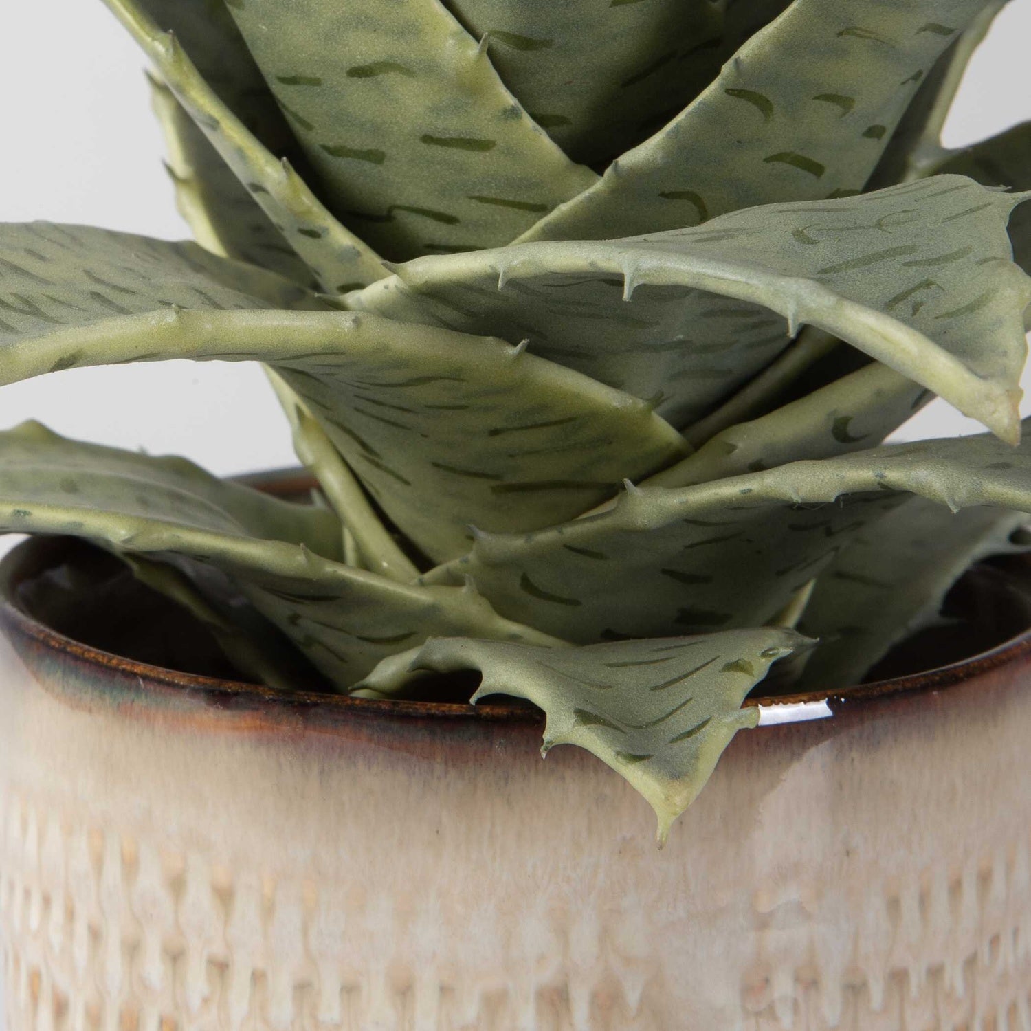 UTTERMOST SEASIDE SUCCULENTS - Decorative Accents