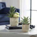 UTTERMOST SEASIDE SUCCULENTS - Decorative Accents
