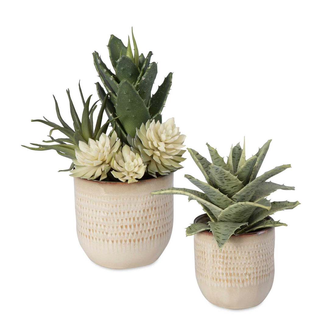 UTTERMOST Seaside Succulents Set Of 2 - Decorative Accents