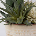 UTTERMOST Seaside Succulents Set Of 2 - Decorative Accents