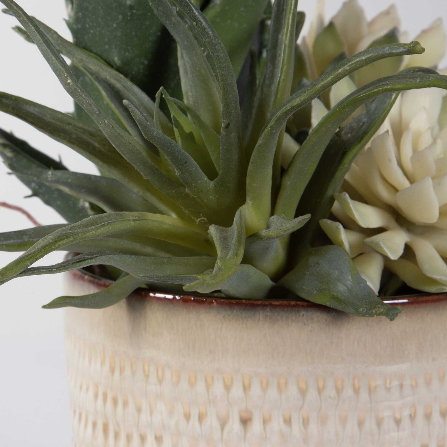 UTTERMOST Seaside Succulents Set Of 2 - Decorative Accents