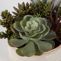 UTTERMOST Mesa Succulent Accent - Decorative Accents