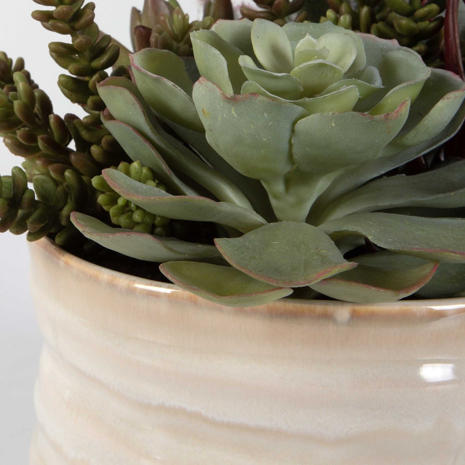 UTTERMOST Mesa Succulent Accent - Decorative Accents