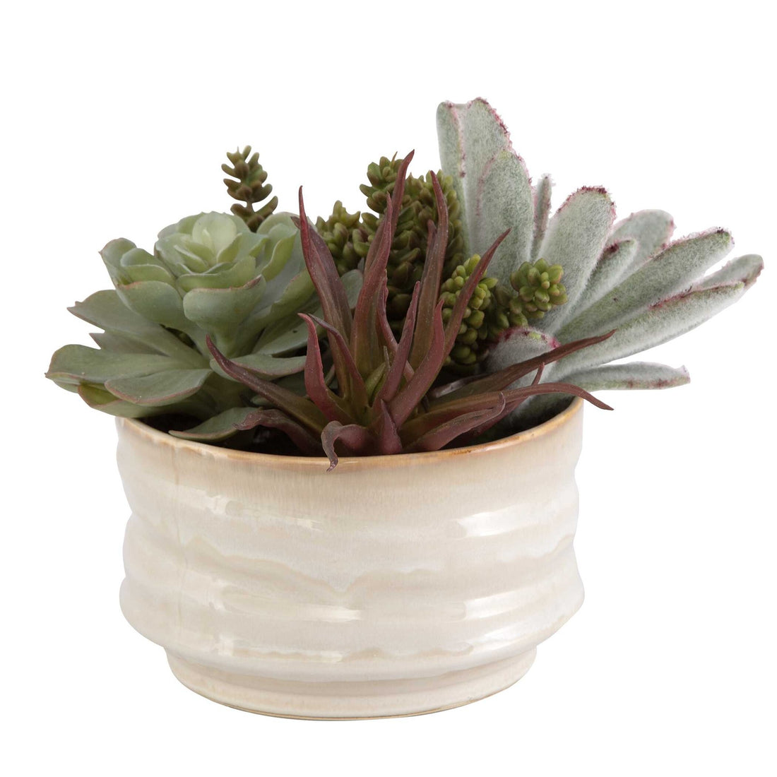 UTTERMOST Mesa Succulent Accent - Decorative Accents