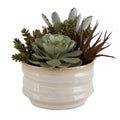 UTTERMOST MESA SUCCULENT ACCENT - Decorative Accents
