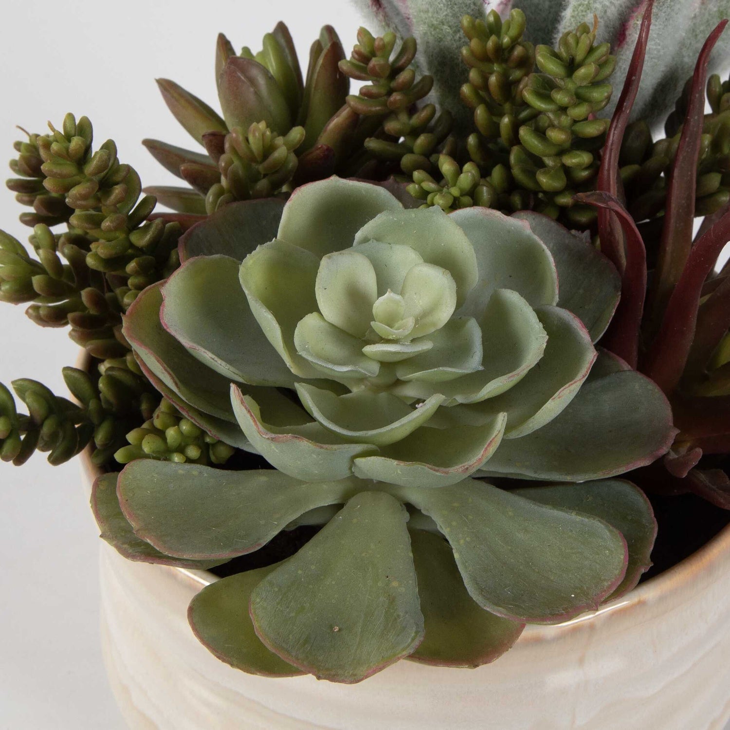 UTTERMOST MESA SUCCULENT ACCENT - Decorative Accents