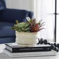 UTTERMOST Mesa Succulent Accent - Decorative Accents