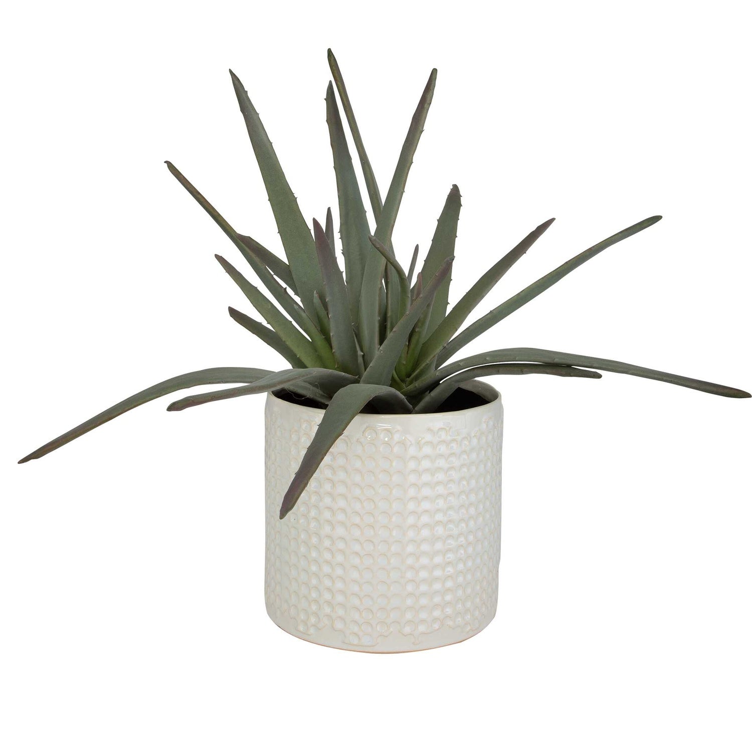 UTTERMOST Taos Aloe Centerpiece - Decorative Accents