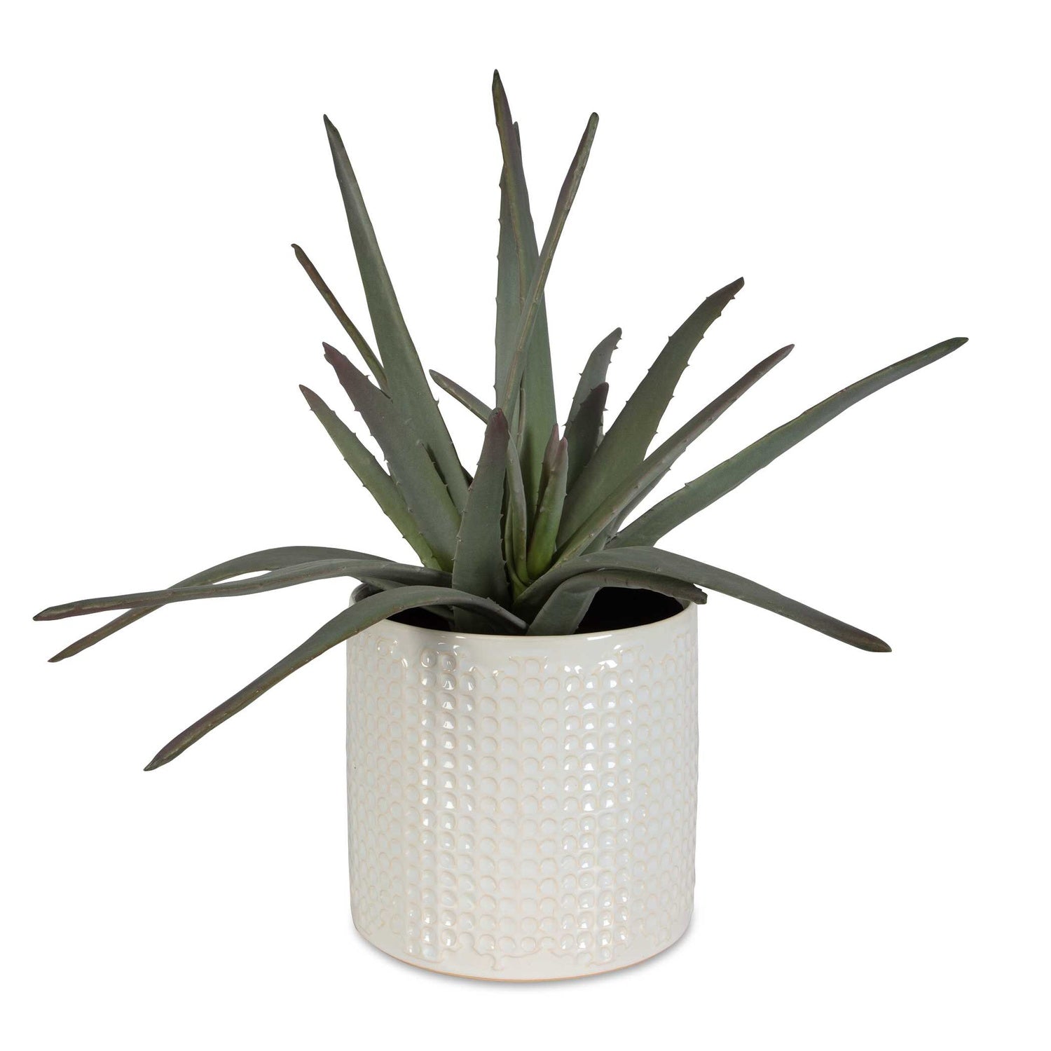 UTTERMOST TAOS ALOE CENTERPIECE - Decorative Accents