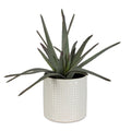 UTTERMOST Taos Aloe Centerpiece - Decorative Accents