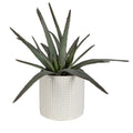 UTTERMOST TAOS ALOE CENTERPIECE - Decorative Accents