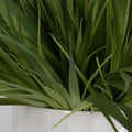 UTTERMOST EDGEWOOD - Decorative Accents