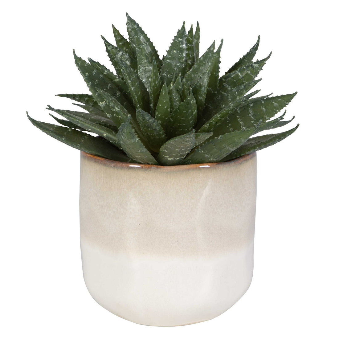 UTTERMOST Doha Succulent Accent - Decorative Accents