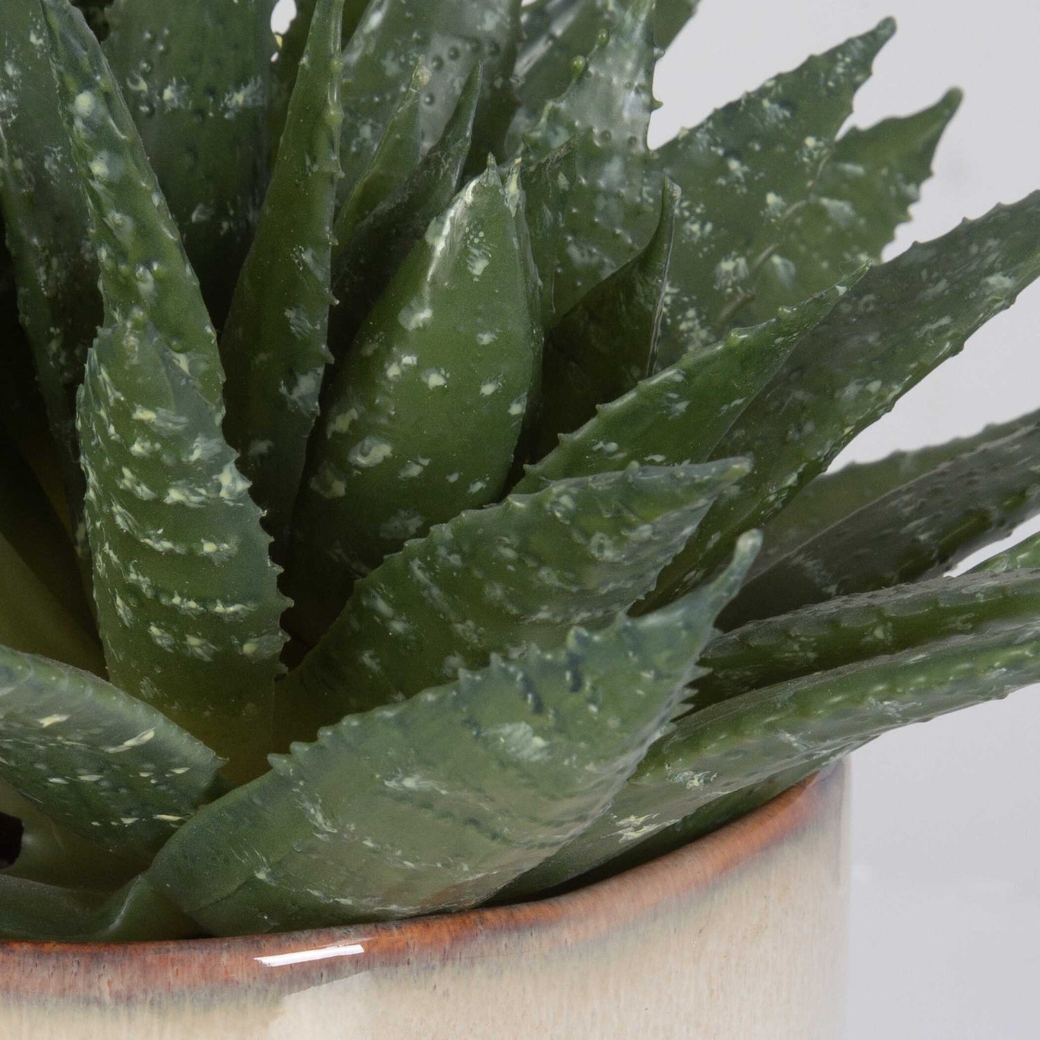 UTTERMOST DOHA SUCCULENT ACCENT - Decorative Accents