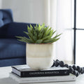 UTTERMOST DOHA SUCCULENT ACCENT - Decorative Accents