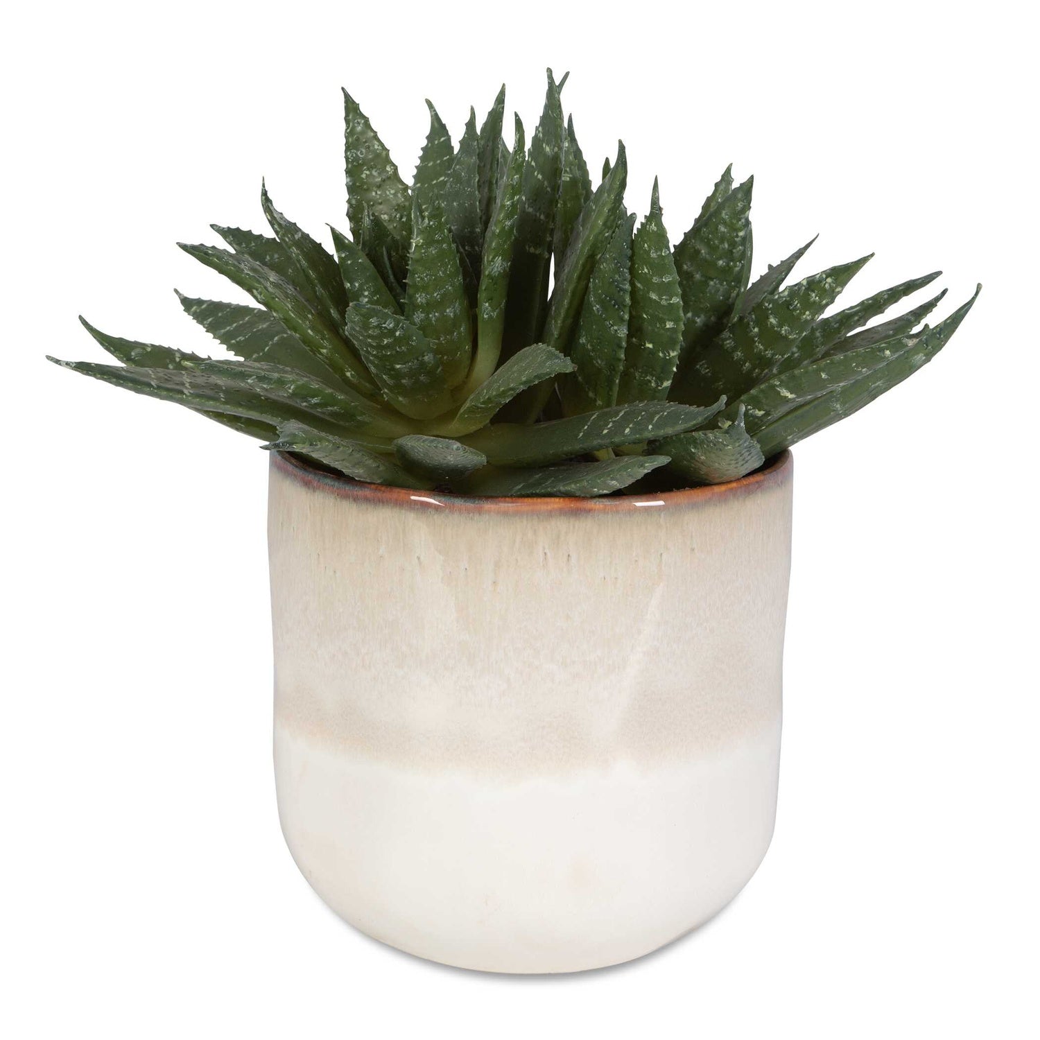 UTTERMOST DOHA SUCCULENT ACCENT - Decorative Accents
