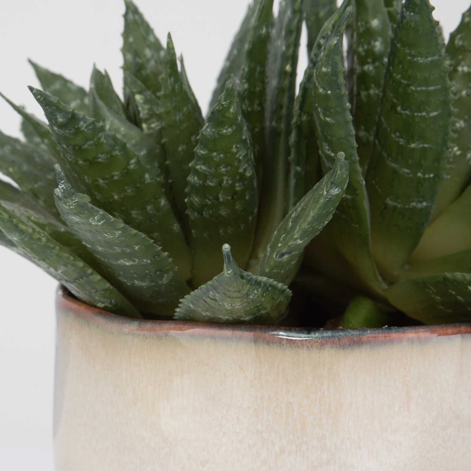 UTTERMOST Doha Succulent Accent - Decorative Accents