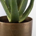 UTTERMOST ARABIA ALOE PLANTER - Decorative Accents