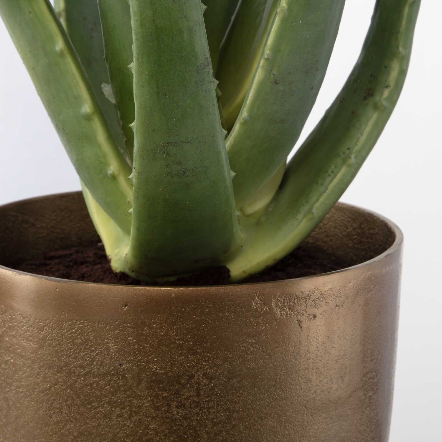 UTTERMOST Arabia Aloe Planter - Decorative Accents