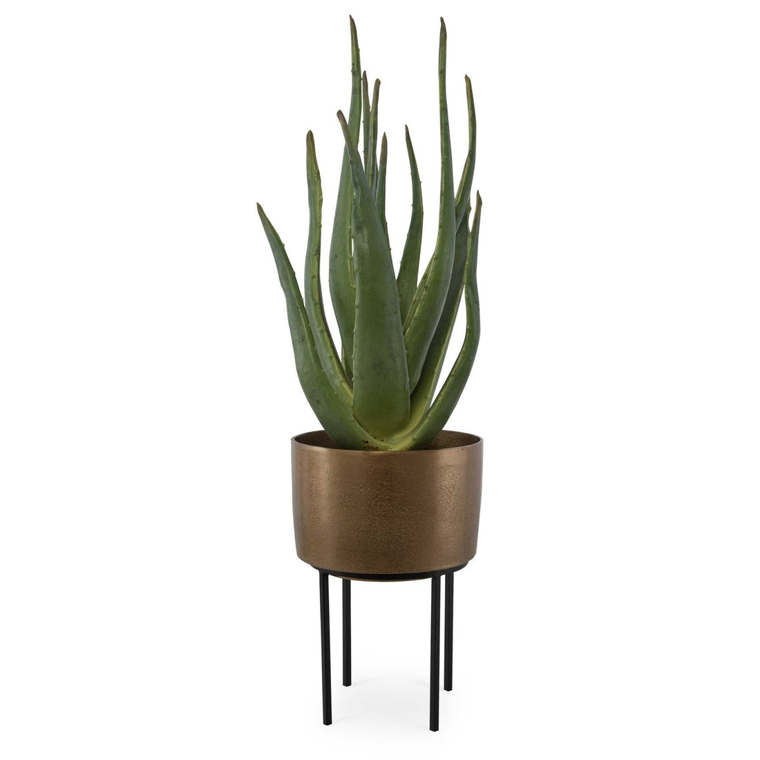 UTTERMOST Arabia Aloe Planter - Decorative Accents