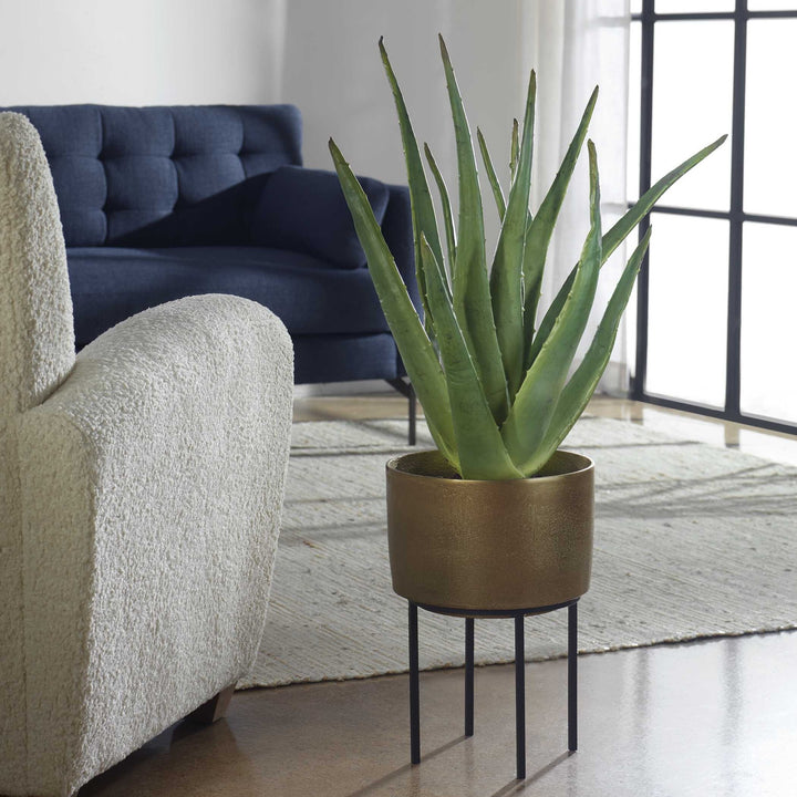 UTTERMOST Arabia Aloe Planter - Decorative Accents
