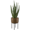 UTTERMOST ARABIA ALOE PLANTER - Decorative Accents