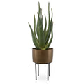 UTTERMOST ARABIA ALOE PLANTER - Decorative Accents