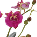 UTTERMOST Glory Fuchsia Orchid - Decorative Accents