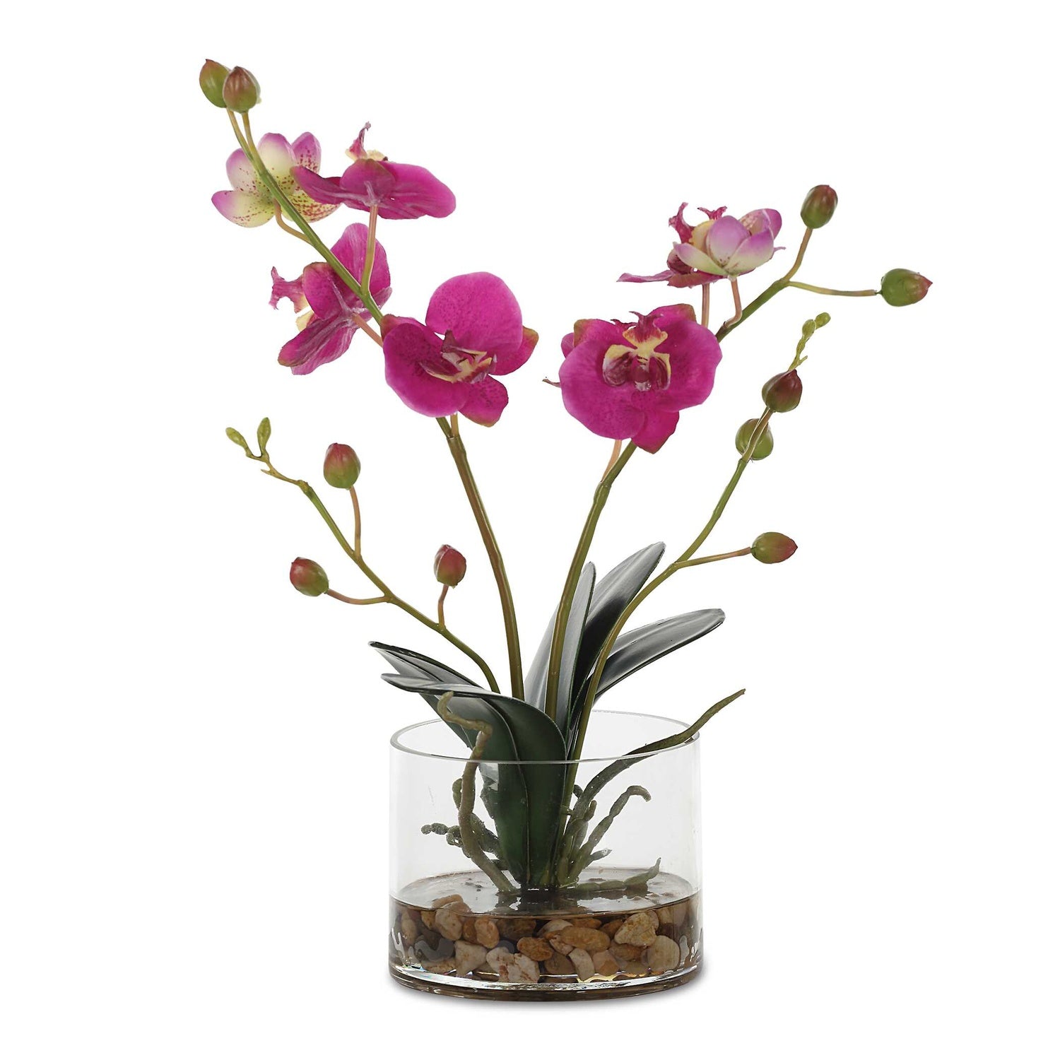 UTTERMOST GLORY FUCHSIA ORCHID - Decorative Accents