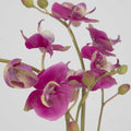 UTTERMOST Glory Fuchsia Orchid - Decorative Accents