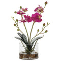 UTTERMOST GLORY FUCHSIA ORCHID - Decorative Accents